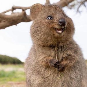 Meet your Posher, Marisa